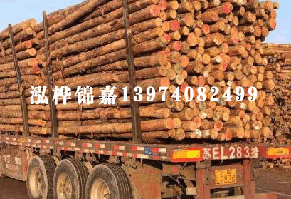 不銹鋼 F牙80°米字槽沉頭割尾自攻螺釘 ASME/ANSI B18.6.3